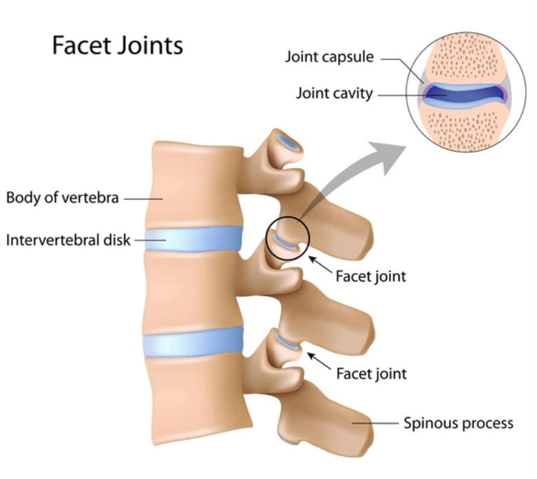 facetjoint_orig